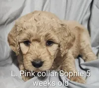 processed/a9fe7356-06cf-426e-bf7c-d32091e77b0a/listing/dd1b652a-ca75-41bd-a610-0f9f9c1c0426/f49b38c8-d110-4dd8-a88f-3baf81d939f7