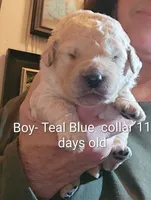 processed/a9fe7356-06cf-426e-bf7c-d32091e77b0a/listing/e9426038-3fb9-46ca-a4aa-b0c49c9c8769/5166dca3-ac6b-471d-8918-8afe174e87bf