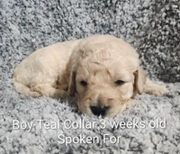 processed/a9fe7356-06cf-426e-bf7c-d32091e77b0a/listing/e9426038-3fb9-46ca-a4aa-b0c49c9c8769/7d773f6e-816d-4262-8344-1940e268f5f0