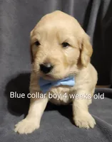 processed/a9fe7356-06cf-426e-bf7c-d32091e77b0a/listing/e973a9f9-abeb-48b1-9740-3bf1ae928ff3/d05bcb9c-2017-482a-ab3f-d5750be38ae2