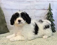 processed/aa02bc89-a5d0-4ff3-9a58-7b4561e33e8f/listing/3da4d825-2267-4947-92ea-3dee5976c9d6/389aa80f-b7ab-4092-aafd-c7c6f78d5f89