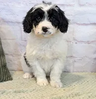 processed/aa02bc89-a5d0-4ff3-9a58-7b4561e33e8f/listing/3da4d825-2267-4947-92ea-3dee5976c9d6/53441d33-ab71-4e4c-b822-c27d5a37d599