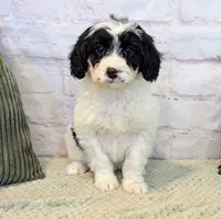 processed/aa02bc89-a5d0-4ff3-9a58-7b4561e33e8f/listing/3da4d825-2267-4947-92ea-3dee5976c9d6/59d73d7b-372c-4ca4-b83b-afd1a36db0f9