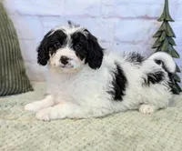 processed/aa02bc89-a5d0-4ff3-9a58-7b4561e33e8f/listing/3da4d825-2267-4947-92ea-3dee5976c9d6/7ea0bba5-074a-4e5c-9f77-89e325071b67