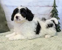 processed/aa02bc89-a5d0-4ff3-9a58-7b4561e33e8f/listing/3da4d825-2267-4947-92ea-3dee5976c9d6/e772d58d-c3fc-4737-ae37-b8d5f2c440f0