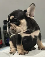 processed/aa043d21-3a57-428e-9d85-e7b4f484b3c5/listing/55fd7083-d39f-4887-80fa-ceecab66f862/10b13a97-aefb-4da8-abe5-ce6cc1961d7a