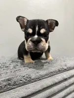 processed/aa043d21-3a57-428e-9d85-e7b4f484b3c5/listing/55fd7083-d39f-4887-80fa-ceecab66f862/91c84d04-27b6-44b0-87b2-61f246f11686