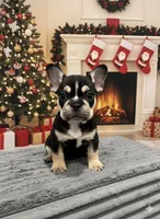 processed/aa043d21-3a57-428e-9d85-e7b4f484b3c5/listing/55fd7083-d39f-4887-80fa-ceecab66f862/929c2895-6d1d-4aa6-8dfb-44f08c4ad012