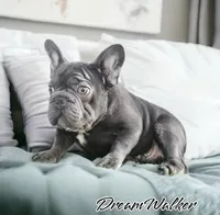 processed/aa043d21-3a57-428e-9d85-e7b4f484b3c5/listing/55fd7083-d39f-4887-80fa-ceecab66f862/f88afabd-6006-42aa-b8ba-c563767fe1f5