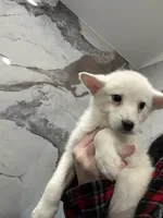 processed/aa043d21-3a57-428e-9d85-e7b4f484b3c5/listing/92546211-38a0-4c24-87b6-529b154a6509/29e94015-08ba-4484-9b9b-467ae71d20ef