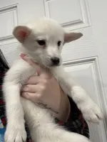 processed/aa043d21-3a57-428e-9d85-e7b4f484b3c5/listing/92546211-38a0-4c24-87b6-529b154a6509/dc9febad-e000-492f-8874-1023b38c6d07