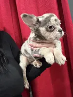 processed/aa043d21-3a57-428e-9d85-e7b4f484b3c5/listing/96d050e2-1781-4874-964d-7025b9e1c3e8/1624f625-7fe7-4283-909d-0817c9cb1e58