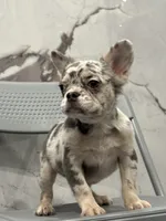 processed/aa043d21-3a57-428e-9d85-e7b4f484b3c5/listing/96d050e2-1781-4874-964d-7025b9e1c3e8/6c246b2f-938a-4ff5-a3c8-2be0d4818022