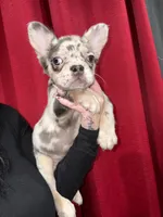 processed/aa043d21-3a57-428e-9d85-e7b4f484b3c5/listing/96d050e2-1781-4874-964d-7025b9e1c3e8/98681304-3612-41af-944d-587159ceec4e