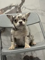 processed/aa043d21-3a57-428e-9d85-e7b4f484b3c5/listing/96d050e2-1781-4874-964d-7025b9e1c3e8/ae06d418-65b9-4d69-9e0e-2d11433f002d