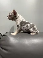 processed/aa043d21-3a57-428e-9d85-e7b4f484b3c5/listing/96d050e2-1781-4874-964d-7025b9e1c3e8/ed51d732-78d6-4153-8e2b-be44c431709f