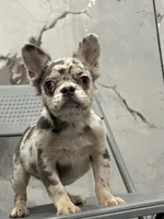 processed/aa043d21-3a57-428e-9d85-e7b4f484b3c5/listing/96d050e2-1781-4874-964d-7025b9e1c3e8/f7521b8b-065a-4e97-ab37-634c9fb606d1