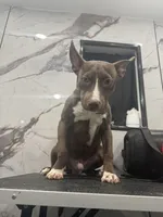 processed/aa043d21-3a57-428e-9d85-e7b4f484b3c5/listing/bc7083f1-d4e7-4d71-ad0f-2afdf228195b/374d015f-6473-410a-a960-ce6627d99262