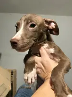 processed/aa043d21-3a57-428e-9d85-e7b4f484b3c5/listing/bc7083f1-d4e7-4d71-ad0f-2afdf228195b/51b7b7c3-274c-4145-a648-53fdc9492d76