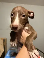 processed/aa043d21-3a57-428e-9d85-e7b4f484b3c5/listing/bc7083f1-d4e7-4d71-ad0f-2afdf228195b/d294354d-1c0a-4880-849b-da1d580f3c12