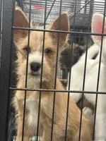 processed/aa043d21-3a57-428e-9d85-e7b4f484b3c5/listing/e8ecd90f-1ee5-47cc-b43d-2bd954918c14/3693aa89-bc46-4ca0-b858-d803989c6756