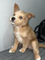 processed/aa043d21-3a57-428e-9d85-e7b4f484b3c5/listing/e8ecd90f-1ee5-47cc-b43d-2bd954918c14/48e50229-25c6-4d09-8bed-55f1e0bb8c8d