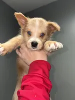 processed/aa043d21-3a57-428e-9d85-e7b4f484b3c5/listing/e8ecd90f-1ee5-47cc-b43d-2bd954918c14/67ed6712-894e-4405-ab5f-fca152b6fa82