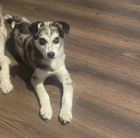 processed/aa043d21-3a57-428e-9d85-e7b4f484b3c5/listing/e8ecd90f-1ee5-47cc-b43d-2bd954918c14/7957faf1-f4e9-4acc-a567-37a27e7c5030