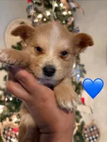 processed/aa043d21-3a57-428e-9d85-e7b4f484b3c5/listing/e8ecd90f-1ee5-47cc-b43d-2bd954918c14/7d02d4e4-8549-42e3-80f5-5ea4d5834946