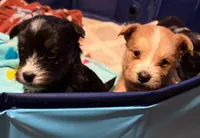 processed/aa043d21-3a57-428e-9d85-e7b4f484b3c5/listing/e8ecd90f-1ee5-47cc-b43d-2bd954918c14/8201139b-2134-4a09-bb66-731a6c2e8399