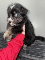 processed/aa043d21-3a57-428e-9d85-e7b4f484b3c5/listing/ec27874a-40ce-4a2d-a30a-82fda4c9108d/18424841-33a0-4d6c-9bf7-fc9f33b046cd