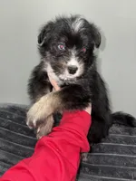 processed/aa043d21-3a57-428e-9d85-e7b4f484b3c5/listing/ec27874a-40ce-4a2d-a30a-82fda4c9108d/43cec636-e8b5-4412-8be0-452b5c16ba1f