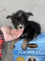 processed/aa043d21-3a57-428e-9d85-e7b4f484b3c5/listing/ec27874a-40ce-4a2d-a30a-82fda4c9108d/7e47efc2-fa54-4ff4-b4b2-2b1347431f2b