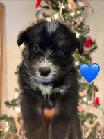 processed/aa043d21-3a57-428e-9d85-e7b4f484b3c5/listing/ec27874a-40ce-4a2d-a30a-82fda4c9108d/bb8630cd-9a60-4492-89e9-1bc9a29fc72a