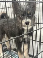 processed/aa043d21-3a57-428e-9d85-e7b4f484b3c5/listing/ec27874a-40ce-4a2d-a30a-82fda4c9108d/c39e0b02-6027-41df-8ea6-029d6739ea56