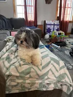 processed/aa0b8848-2ed5-46ea-a32b-2148af298f9a/listing/8a60ab32-d29a-4e41-b447-a98ea587633c/5208e752-0f22-4998-a8fc-683f19b4154a