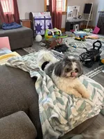 processed/aa0b8848-2ed5-46ea-a32b-2148af298f9a/listing/8a60ab32-d29a-4e41-b447-a98ea587633c/83b5fdbb-2521-4f41-bda6-08f0090aba33