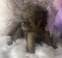 processed/aa179e58-b9b4-4e37-81f0-7732d9ea06f6/listing/2268f6f3-6e83-4912-8d28-c8beb7684d41/0f18abf1-2395-41a7-976e-054fe0abfd2c