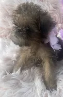 processed/aa179e58-b9b4-4e37-81f0-7732d9ea06f6/listing/2268f6f3-6e83-4912-8d28-c8beb7684d41/343f5c6f-f4c9-4dfb-a1b0-f34b4c1de231