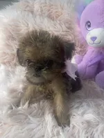 processed/aa179e58-b9b4-4e37-81f0-7732d9ea06f6/listing/2268f6f3-6e83-4912-8d28-c8beb7684d41/346faf4c-6aff-4048-a41d-0fe371302663