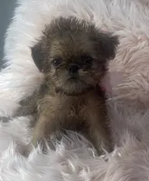 processed/aa179e58-b9b4-4e37-81f0-7732d9ea06f6/listing/2268f6f3-6e83-4912-8d28-c8beb7684d41/64be4bad-fd6f-4b51-9b43-31ff585e7763