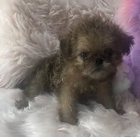 processed/aa179e58-b9b4-4e37-81f0-7732d9ea06f6/listing/2268f6f3-6e83-4912-8d28-c8beb7684d41/7553b1dc-177b-4929-89c3-c9a1df2b9990