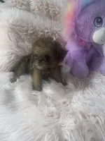 processed/aa179e58-b9b4-4e37-81f0-7732d9ea06f6/listing/2268f6f3-6e83-4912-8d28-c8beb7684d41/7642adfc-8806-4a7f-bce3-4a4c1bc091a9