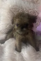 processed/aa179e58-b9b4-4e37-81f0-7732d9ea06f6/listing/2268f6f3-6e83-4912-8d28-c8beb7684d41/7734e82f-1779-4e56-818b-2c5cd9664c3f