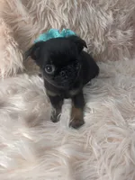 processed/aa179e58-b9b4-4e37-81f0-7732d9ea06f6/listing/492e5b49-331c-4c6b-af38-8e62d259030c/2dc5339d-94db-4cde-9cfb-49c5036607be