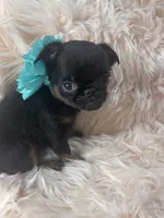 processed/aa179e58-b9b4-4e37-81f0-7732d9ea06f6/listing/492e5b49-331c-4c6b-af38-8e62d259030c/9d2f49a9-ded4-4c47-b91c-ec08d8b3bc56