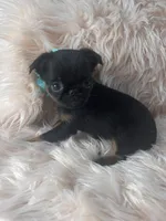 processed/aa179e58-b9b4-4e37-81f0-7732d9ea06f6/listing/492e5b49-331c-4c6b-af38-8e62d259030c/aed9f649-22a0-413d-8fa7-e1a082cf4374