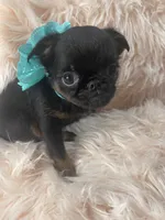 processed/aa179e58-b9b4-4e37-81f0-7732d9ea06f6/listing/492e5b49-331c-4c6b-af38-8e62d259030c/b4e09482-4643-4572-9706-97ae5bbc2613