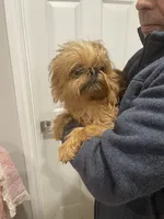 processed/aa179e58-b9b4-4e37-81f0-7732d9ea06f6/listing/53c83c18-696b-433e-b743-772cbe280831/02734751-6615-4ee6-8b41-83a9f12def5d