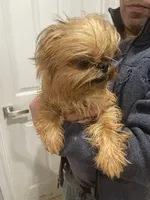 processed/aa179e58-b9b4-4e37-81f0-7732d9ea06f6/listing/53c83c18-696b-433e-b743-772cbe280831/36246a36-40ca-456f-a09e-f9e19a580d37